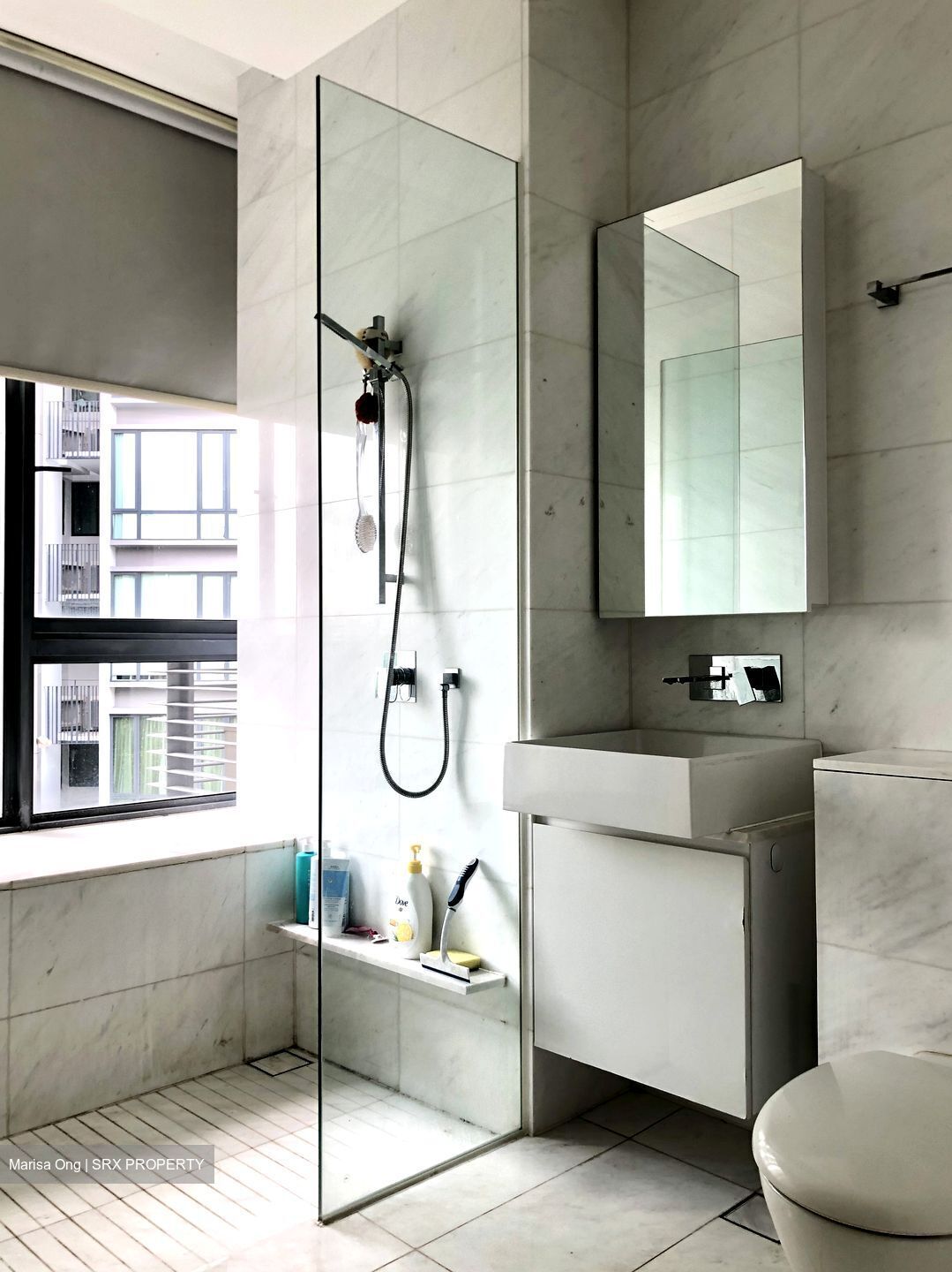 Holland Residences (D10), Condominium #584897091